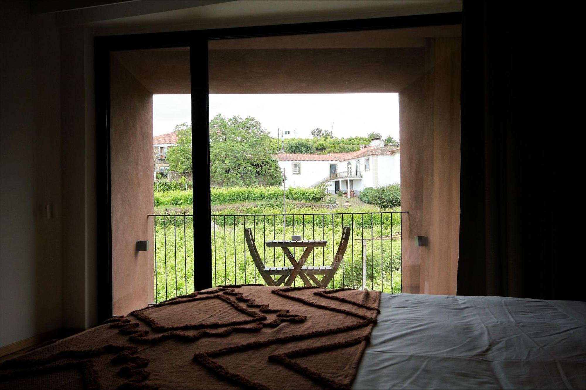 הוילה Provesende Casa Do Santo - Wine & Tourism מראה חיצוני תמונה